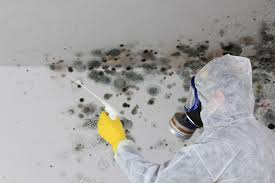 Best Commercial Mold Inspection  in Grandyle Village, NY